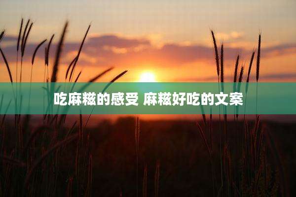 吃麻糍的感受 麻糍好吃的文案