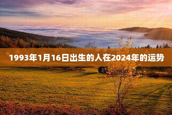 1993年1月16日出生的人在2024年的运势