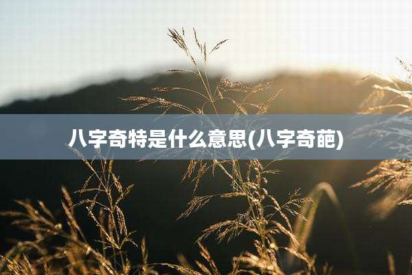 八字奇特是什么意思(八字奇葩)