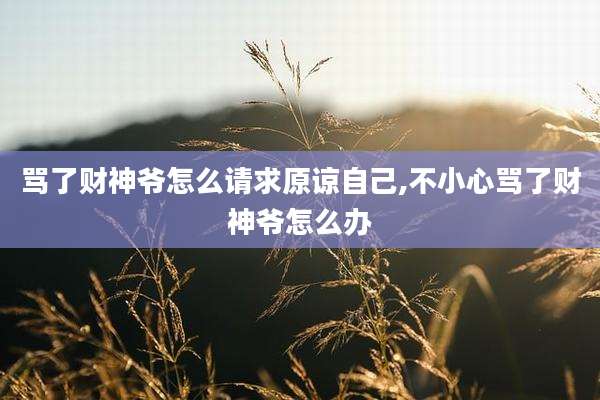骂了财神爷怎么请求原谅自己,不小心骂了财神爷怎么办