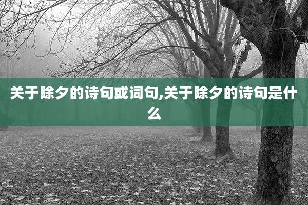 关于除夕的诗句或词句,关于除夕的诗句是什么