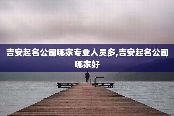 吉安起名公司哪家专业人员多,吉安起名公司哪家好