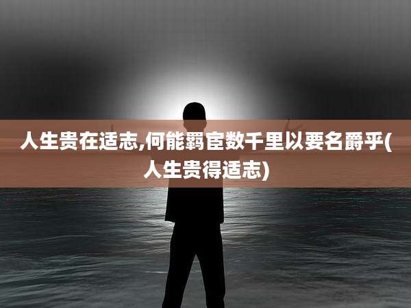 人生贵在适志,何能羁宦数千里以要名爵乎(人生贵得适志)