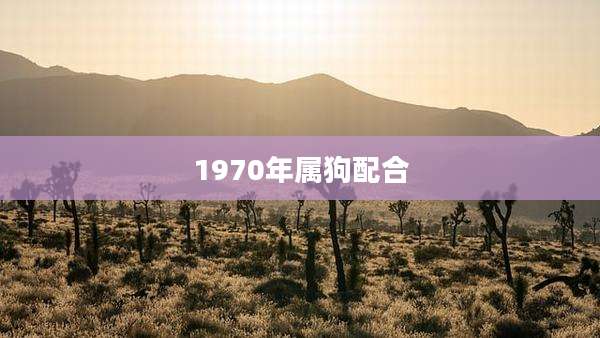 1970年属狗配合