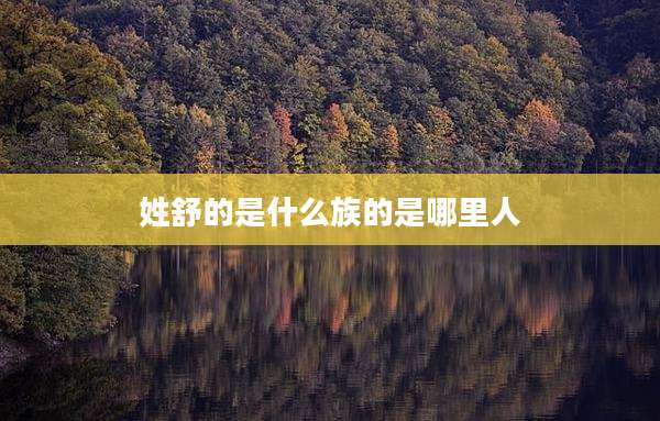 姓舒的是什么族的是哪里人