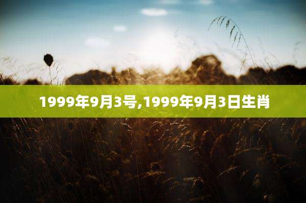 1999年9月3号,1999年9月3日生肖