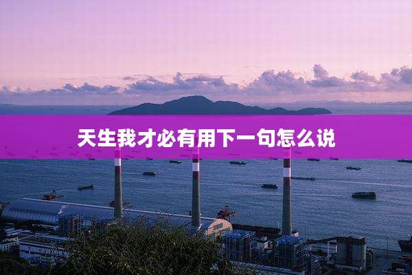 天生我才必有用下一句怎么说