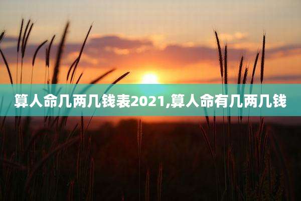 算人命几两几钱表2021,算人命有几两几钱