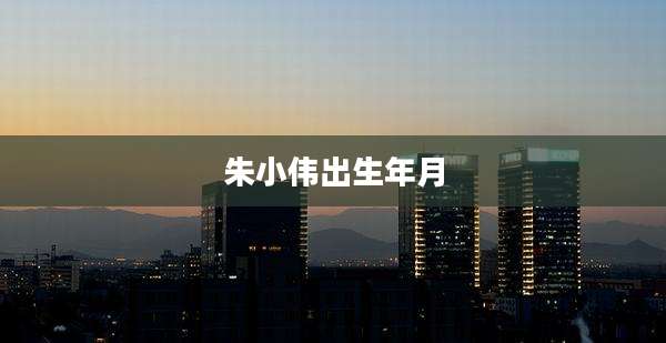朱小伟出生年月