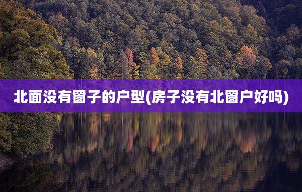 北面没有窗子的户型(房子没有北窗户好吗)