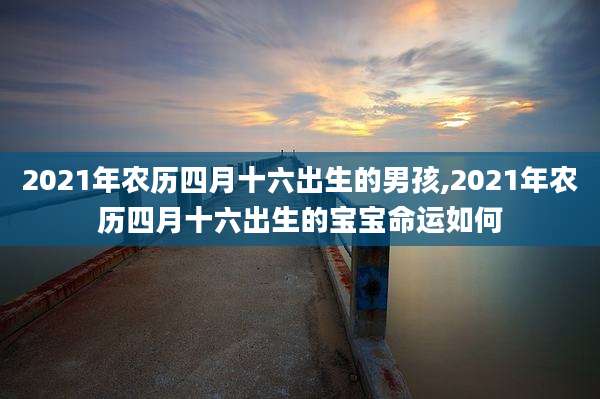 2021年农历四月十六出生的男孩,2021年农历四月十六出生的宝宝命运如何