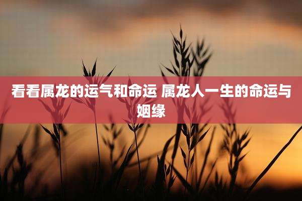 看看属龙的运气和命运 属龙人一生的命运与姻缘