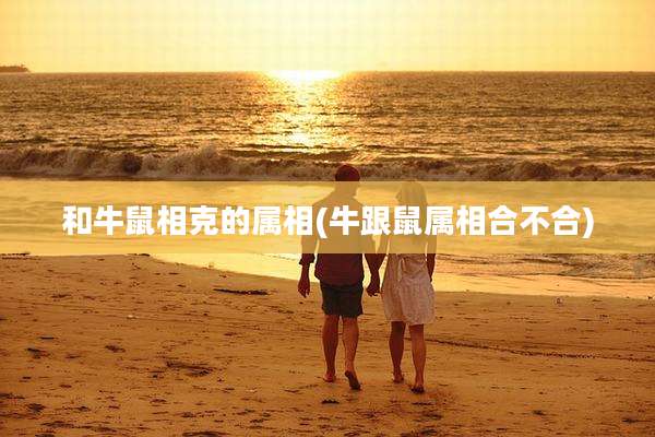 和牛鼠相克的属相(牛跟鼠属相合不合)