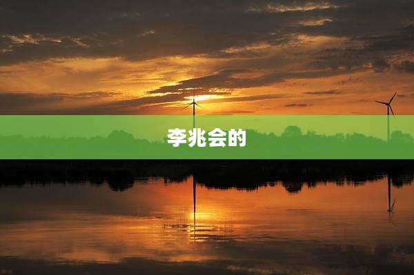 李兆会的