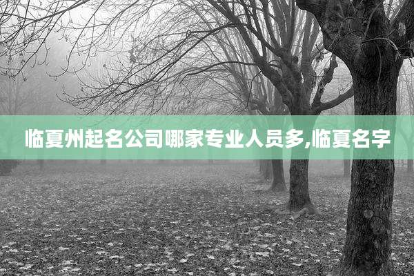 临夏州起名公司哪家专业人员多,临夏名字