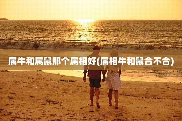 属牛和属鼠那个属相好(属相牛和鼠合不合)