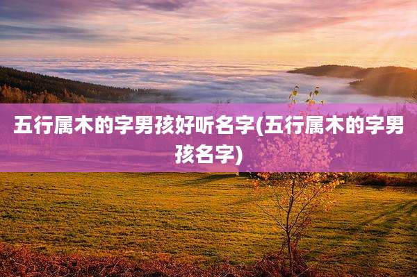 五行属木的字男孩好听名字(五行属木的字男孩名字)