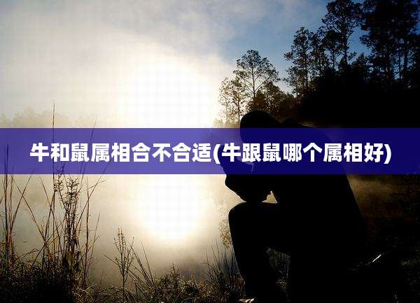 牛和鼠属相合不合适(牛跟鼠哪个属相好)
