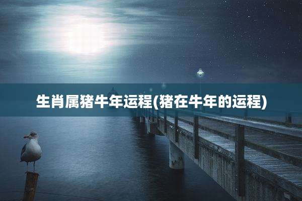 生肖属猪牛年运程(猪在牛年的运程)