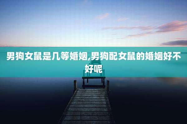 男狗女鼠是几等婚姻,男狗配女鼠的婚姻好不好呢