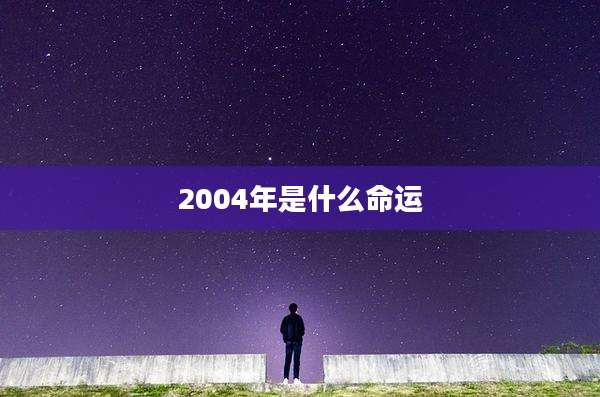 2004年是什么命运