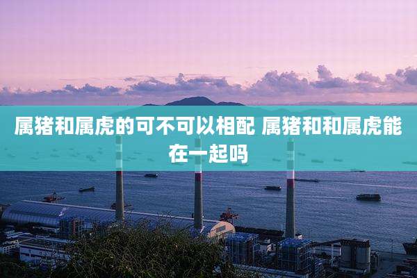 属猪和属虎的可不可以相配 属猪和和属虎能在一起吗
