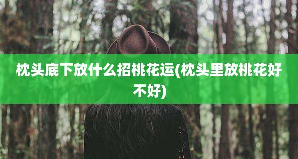 枕头底下放什么招桃花运(枕头里放桃花好不好)