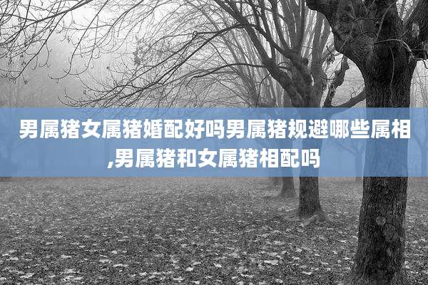 男属猪女属猪婚配好吗男属猪规避哪些属相,男属猪和女属猪相配吗