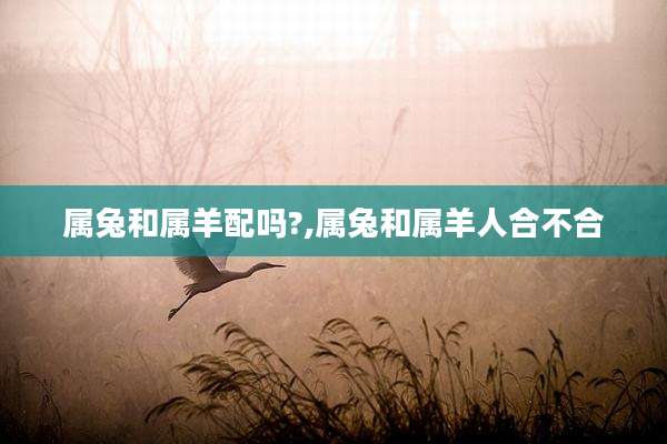 属兔和属羊配吗?,属兔和属羊人合不合