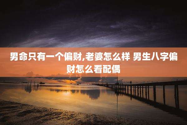 男命只有一个偏财,老婆怎么样 男生八字偏财怎么看配偶