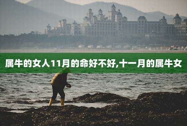 属牛的女人11月的命好不好,十一月的属牛女