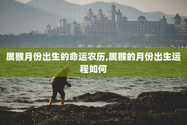 属猴月份出生的命运农历,属猴的月份出生运程如何