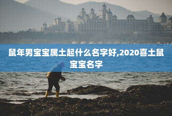 鼠年男宝宝属土起什么名字好,2020喜土鼠宝宝名字