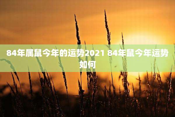 84年属鼠今年的运势2021 84年鼠今年运势如何