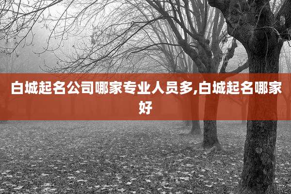 白城起名公司哪家专业人员多,白城起名哪家好