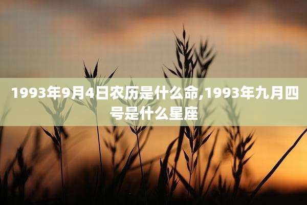 1993年9月4日农历是什么命,1993年九月四号是什么星座