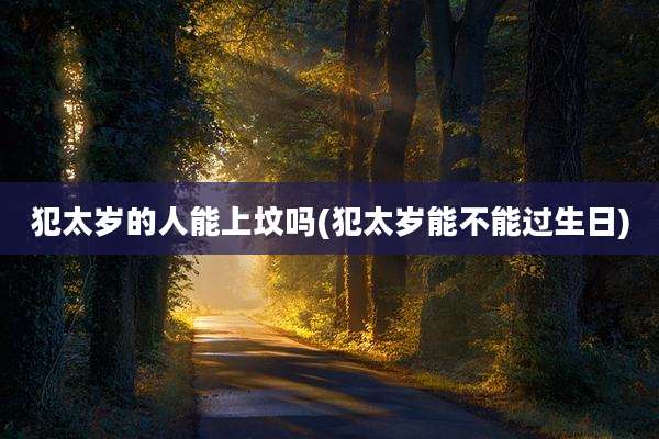 犯太岁的人能上坟吗(犯太岁能不能过生日)