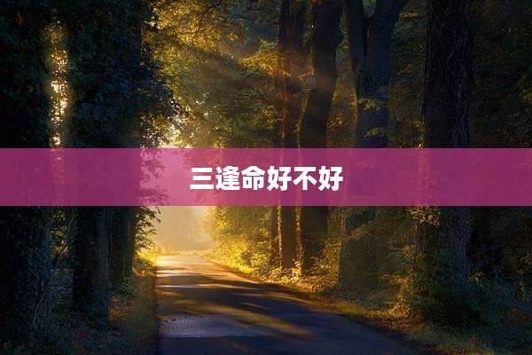 三逢命好不好