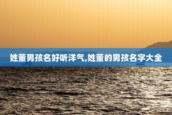 姓董男孩名好听洋气,姓董的男孩名字大全