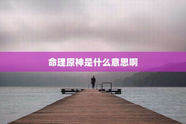 命理原神是什么意思啊