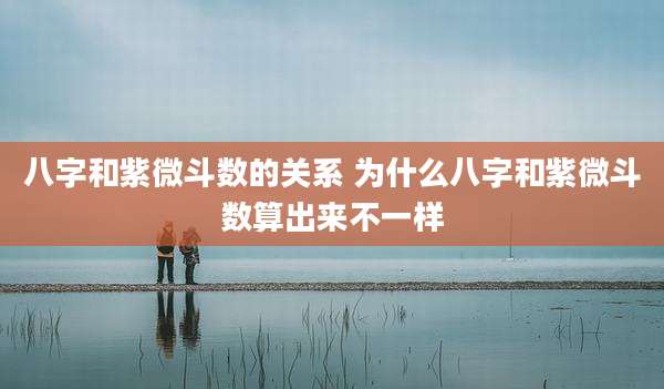 八字和紫微斗数的关系 为什么八字和紫微斗数算出来不一样
