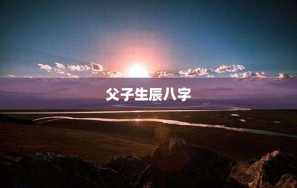 父子生辰八字