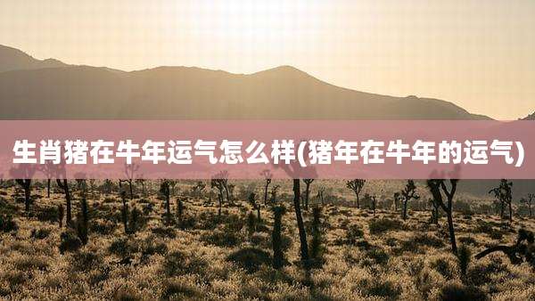 生肖猪在牛年运气怎么样(猪年在牛年的运气)