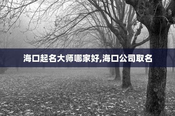 海口起名大师哪家好,海口公司取名