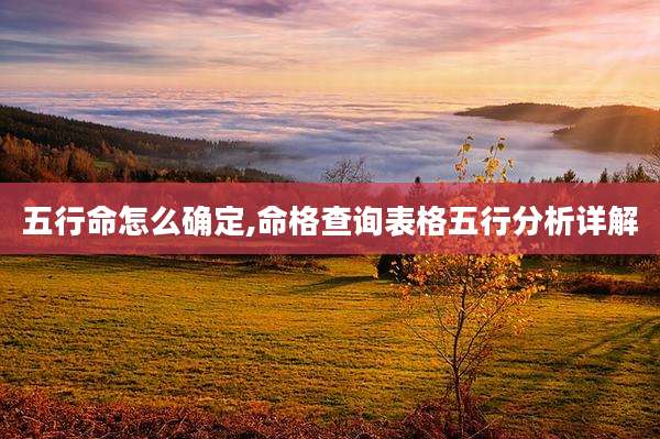 五行命怎么确定,命格查询表格五行分析详解