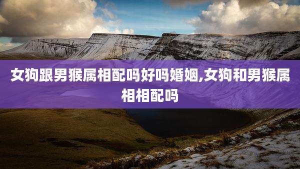 女狗跟男猴属相配吗好吗婚姻,女狗和男猴属相相配吗