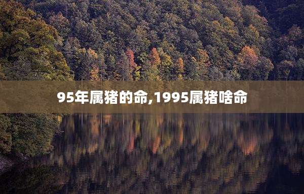 95年属猪的命,1995属猪啥命