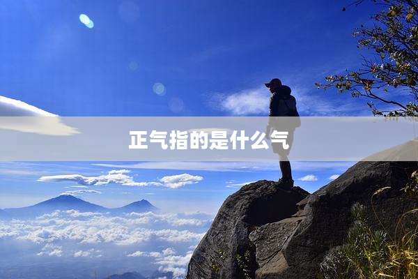 正气指的是什么气