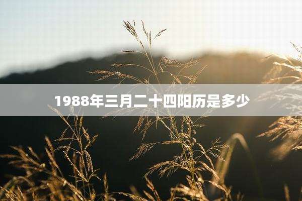 1988年三月二十四阳历是多少