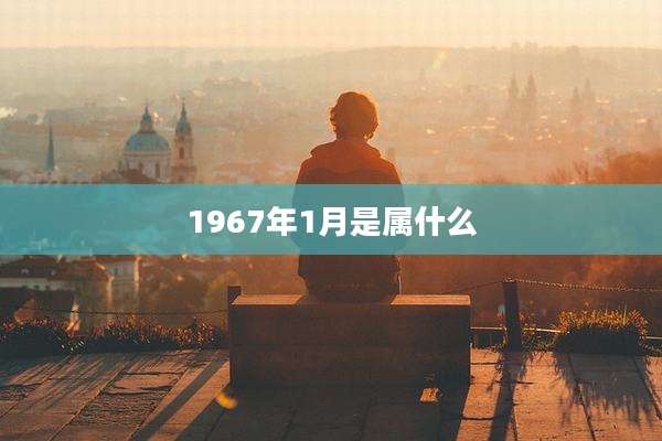 1967年1月是属什么